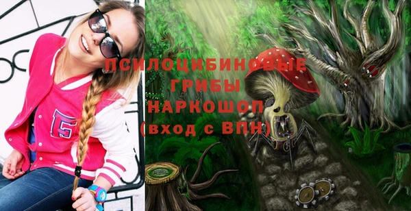 спайс Абаза