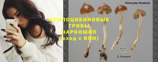 спайс Абаза