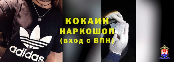 прущие грибы Абинск
