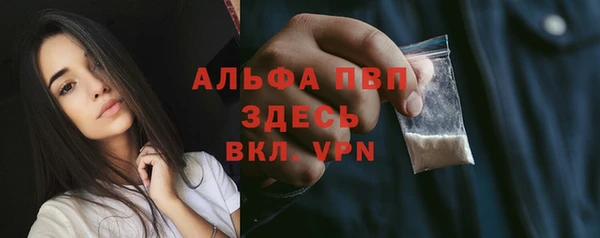 прущие грибы Абинск