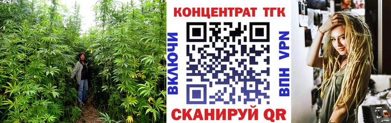 дарк нет состав  мега онион  Темников  Дистиллят ТГК Wax 
